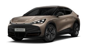 Tavascan VZ2