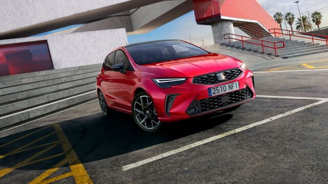 SEAT over 12-months old