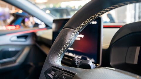 Tribe Editions Interior