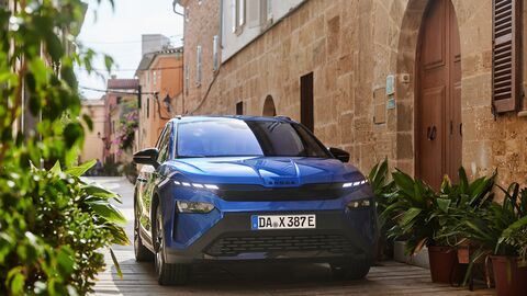 Which Škoda electric service plan?